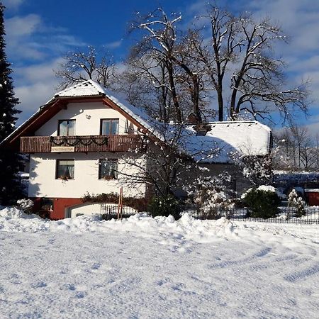 Apartma Anton Bled Zewnętrze zdjęcie